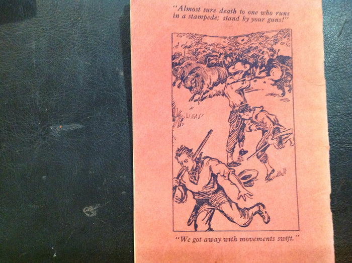 BOOKS - My First Buffalo Hunt