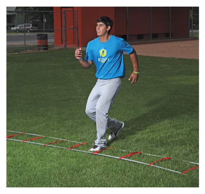 PowerMax Web Agility Ladder (image 3)