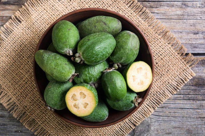 Ananasguava / Feijoa Träd i olika storlekar 20-150 cm (Acca sellowiana)