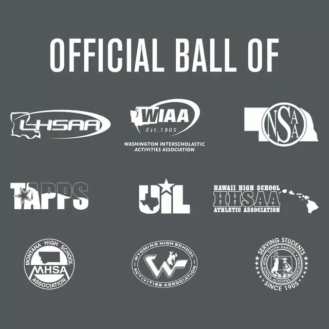 Baden Official Elite Pro Game Basketball — Indoor (image 4)