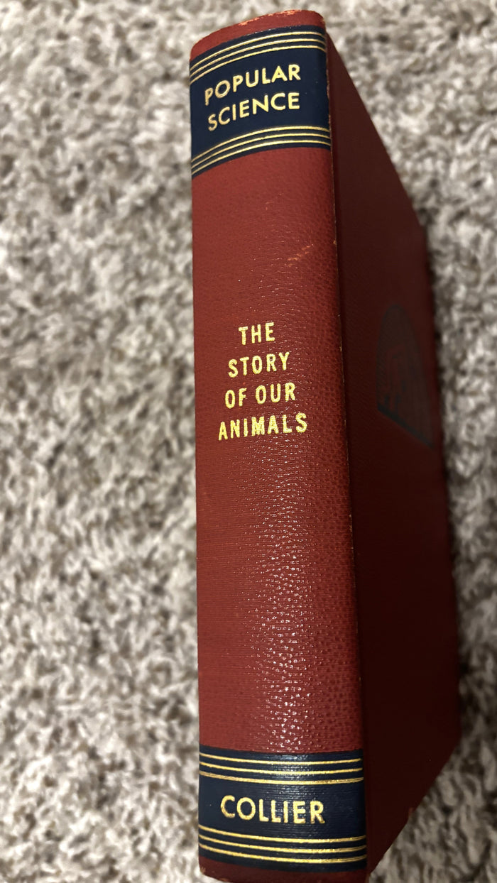 BOOKS - Popular Science - The Story of our Animals
