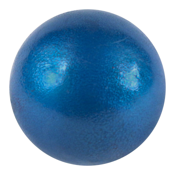 Champro Cast Iron Shot Put