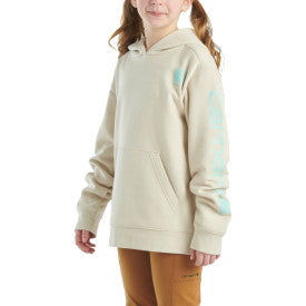 Carhartt child and youth long-sleeve graphic sweatshirt in malt