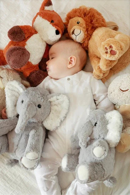 Cloud.b | White Noise Soothing Plush | Frankie the Fox