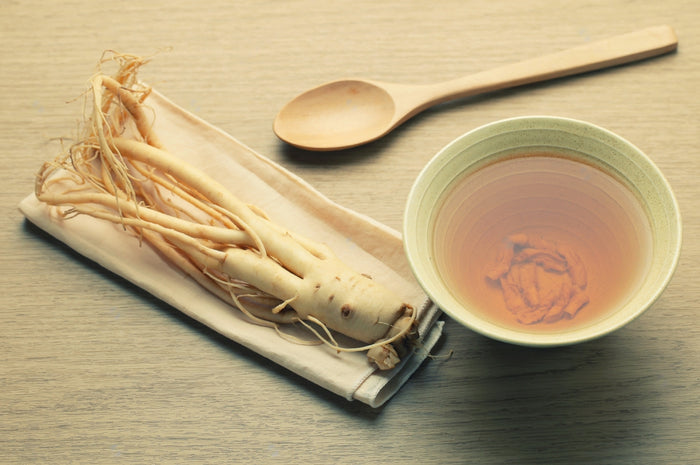 Koreansk Ginseng (Panax ginseng)