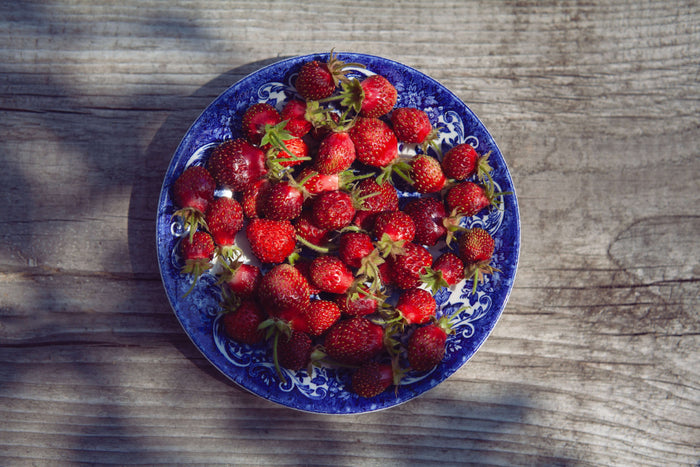 Parksmultron 'Schöne Wienerin' P9 kruka (Fragaria moschata)