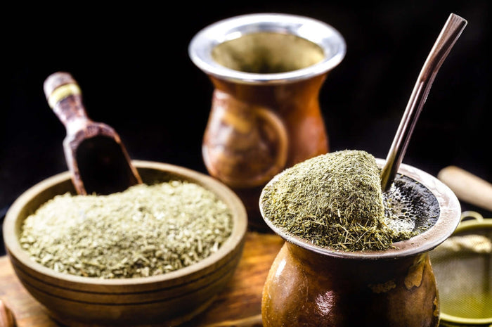 Yerba Mate 'GARDEN 2 CUP®' 50-80 cm (Ilex paraguariensis)